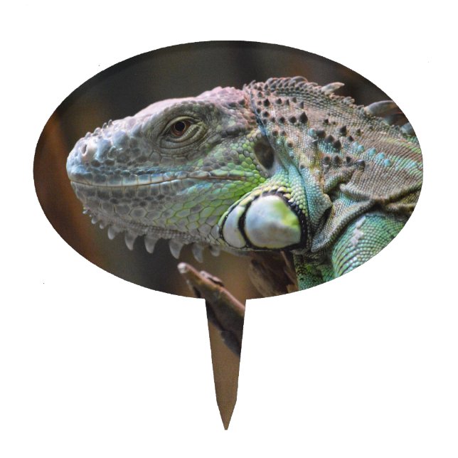 Cake Topper with head of colourful Iguana lizard (Front)