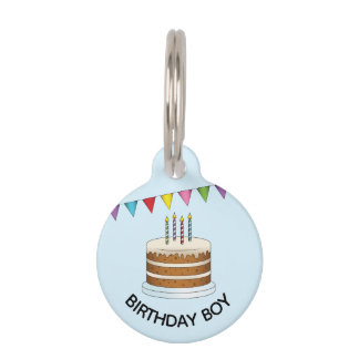 Cake With Colorful Banner On Blue Birthday Boy Pet ID Tag