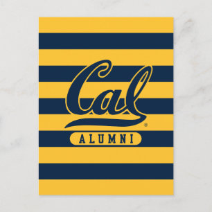 Cal Alumni Stripes Postcard