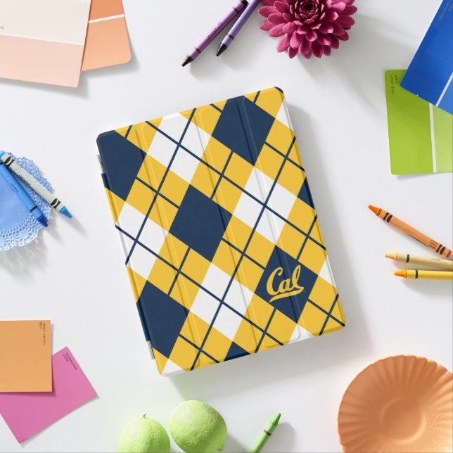 Cal Argyle Pattern iPad Smart Cover (In Situ)