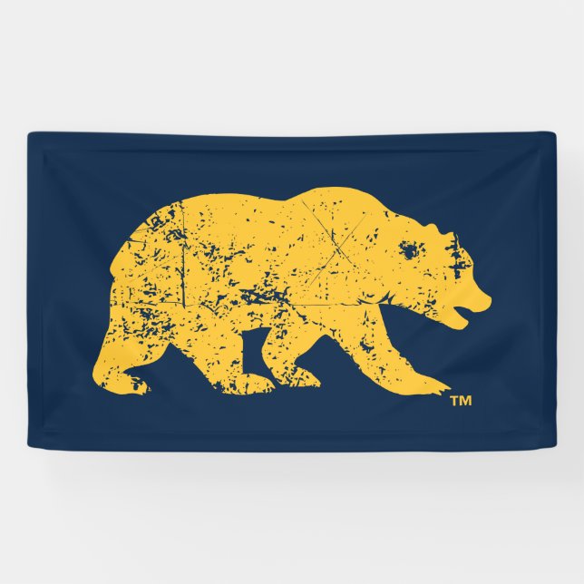 Cal Bear | Distressed Yellow Banner (Horizontal)