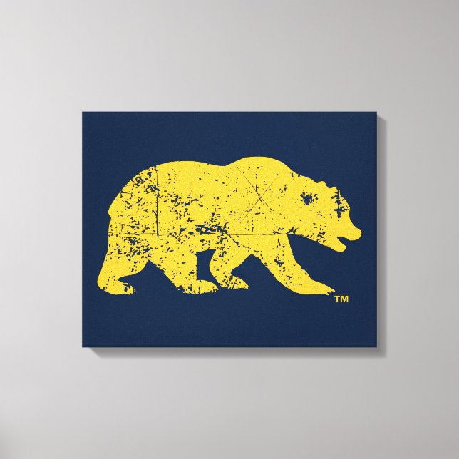 Cal Bear | Distressed Yellow Canvas Print (Front)