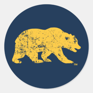 Cal Bear   Distressed Yellow Classic Round Sticker