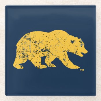 Cal Bear | Distressed Yellow Glass Coaster by ucberkeley at Zazzle