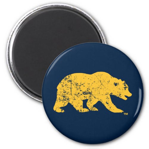 Cal Bear  Distressed Yellow Magnet