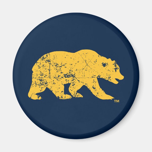 Cal Bear | Distressed Yellow Magnet (Front)