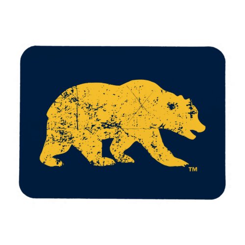 Cal Bear  Distressed Yellow Magnet