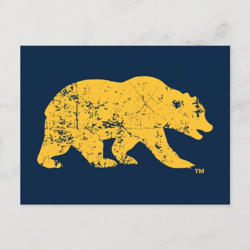 Cal Bear  Distressed Yellow Postcard