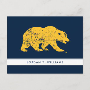 Cal Bear Distressed Yellow Postcard