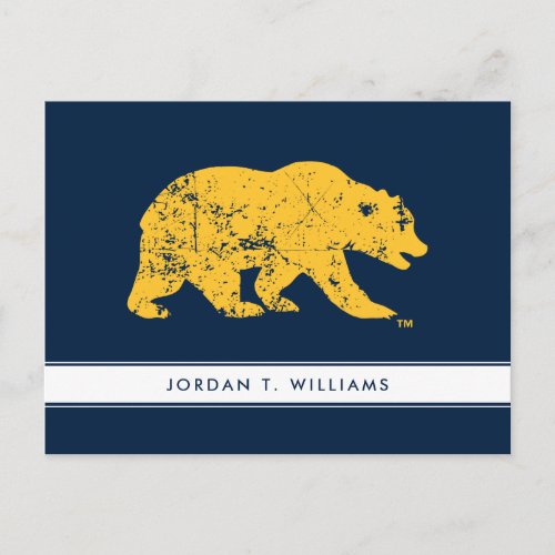 Cal Bear  Distressed Yellow Postcard
