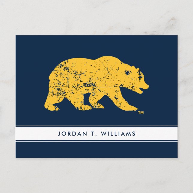 Cal Bear | Distressed Yellow Postcard (Front)