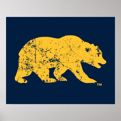 Cal Bear  Distressed Yellow Poster