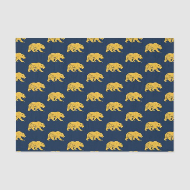 Cal Bear | Distressed Yellow Tissue Paper (Front)