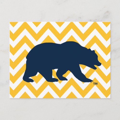 Cal Bear  Golden Chevron Postcard