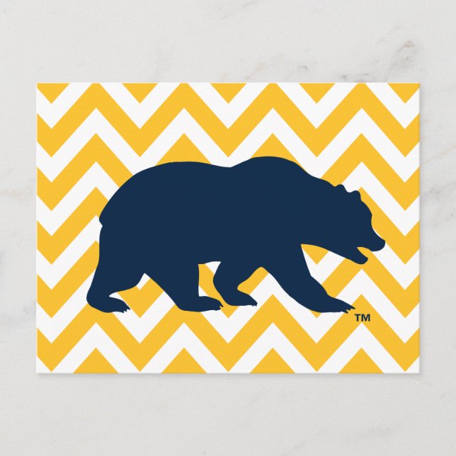 Cal Bear | Golden Chevron Postcard (Front)