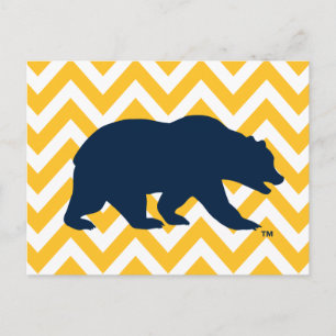 Cal Bear Golden Chevron Postcard