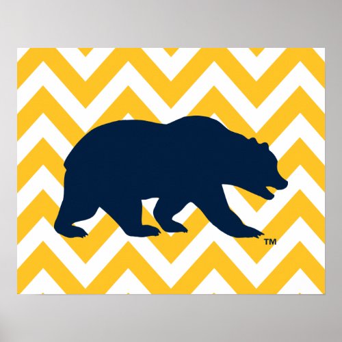Cal Bear  Golden Chevron Poster