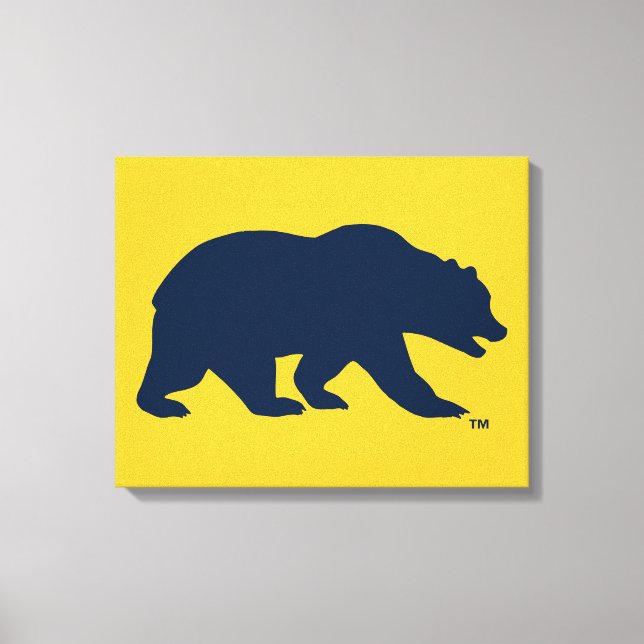 Cal Blue Bear Canvas Print (Front)
