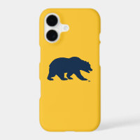 Cal Blue Bear