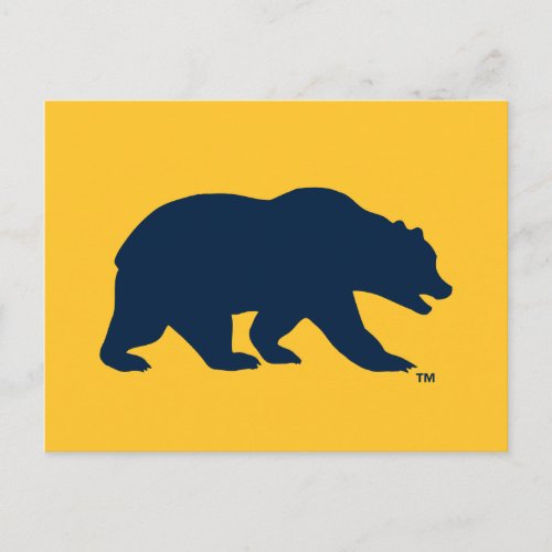 Cal Blue Bear Postcard