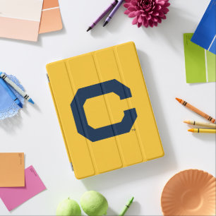 Cal Blue C iPad Smart Cover