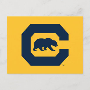 Cal Blue C With Bear Postcard
