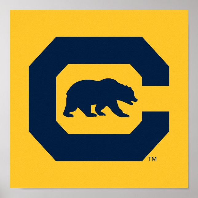 Cal Blue C With Bear Poster (Front)