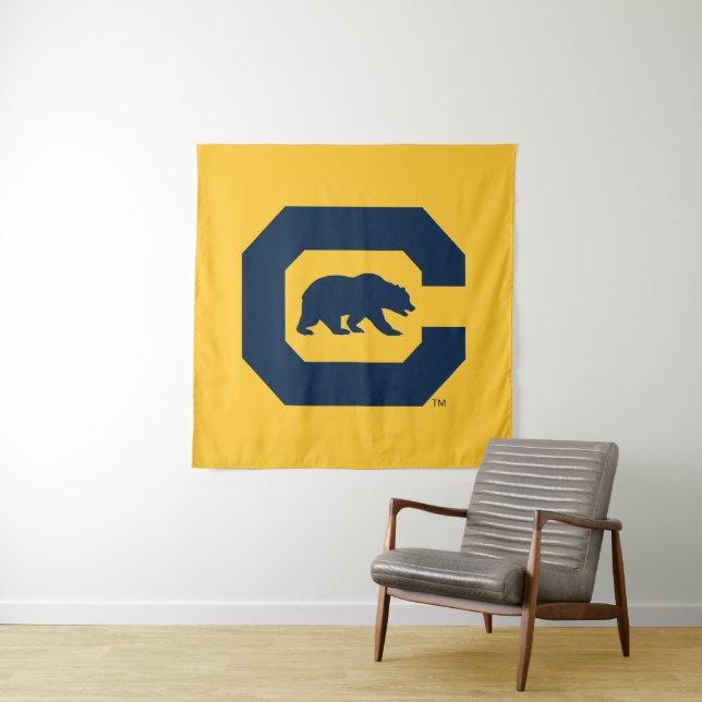 Cal Blue C With Bear Tapestry (In Situ)