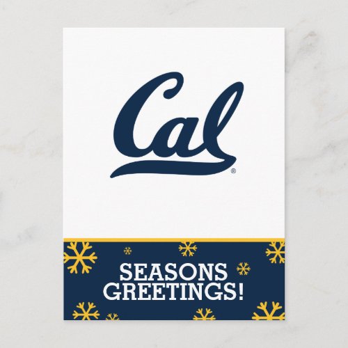 Cal Blue Script Holiday Postcard