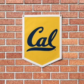 Cal Blue Script Pennant