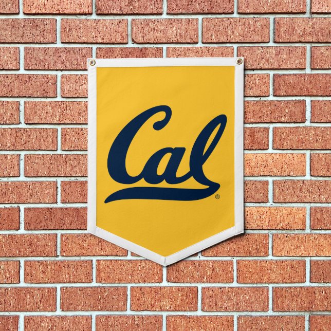 Cal Blue Script Pennant (Insitu 1)