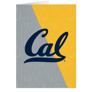 Cal Distressed Color Block