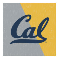 Cal Distressed Color Block
