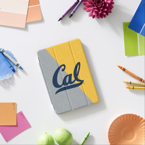 Cal Distressed Color Block iPad Mini Cover
