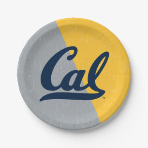 Cal Distressed Color Block Paper Plates