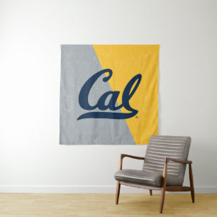 Cal Distressed Color Block Tapestry