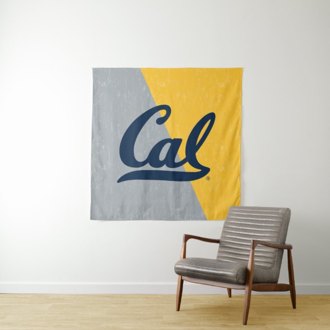 Cal Distressed Color Block Tapestry (In Situ)