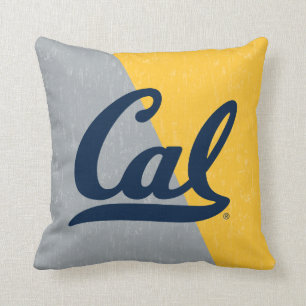 Cal Distressed Color Block Throw Pillow