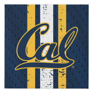 Cal Football Jersey Faux Canvas Print