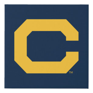 Cal Gold C Faux Canvas Print