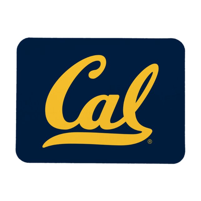 Cal Gold Script Magnet (Horizontal)