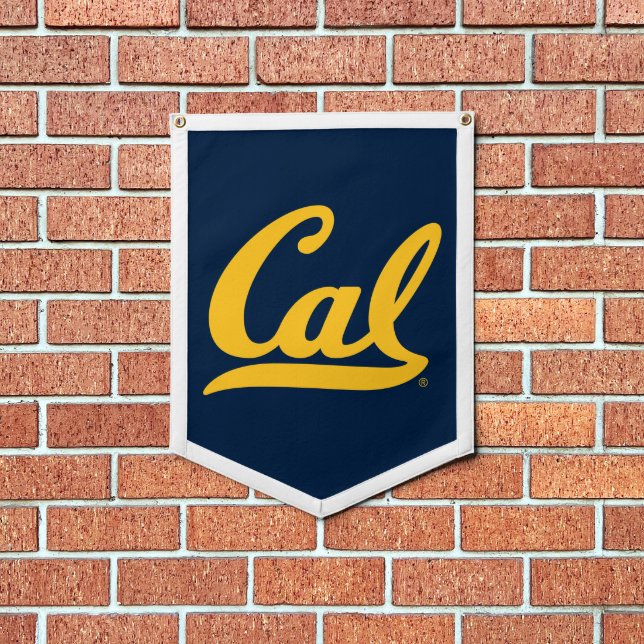 Cal Gold Script Pennant (Insitu 1)