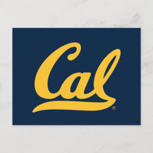 Cal Gold Script Postcard