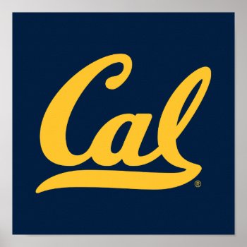 Cal Gold Script Poster by ucberkeley at Zazzle
