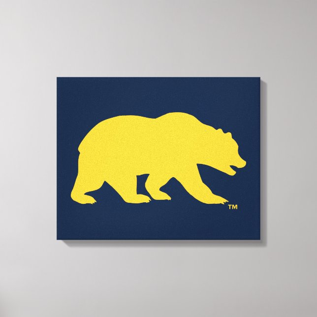 Cal Golden Bear Canvas Print (Front)