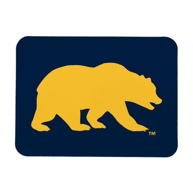 Cal Golden Bear Magnet (Horizontal)