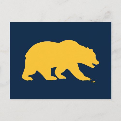 Cal Golden Bear Postcard