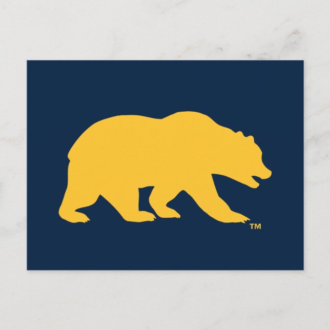 Cal Golden Bear Postcard (Front)