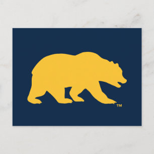 Cal Golden Bear Postcard