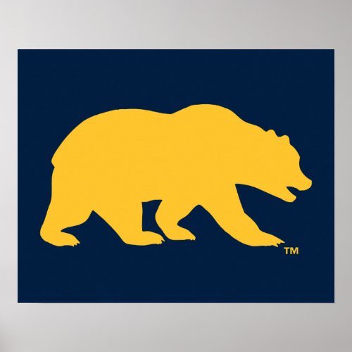 Cal Golden Bear Poster